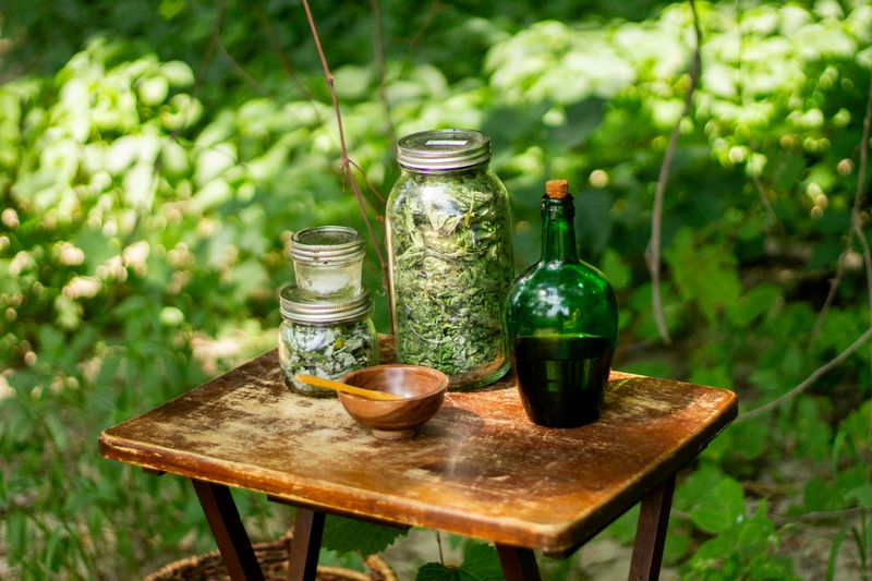 Natural First Aid and Herbal Remedies