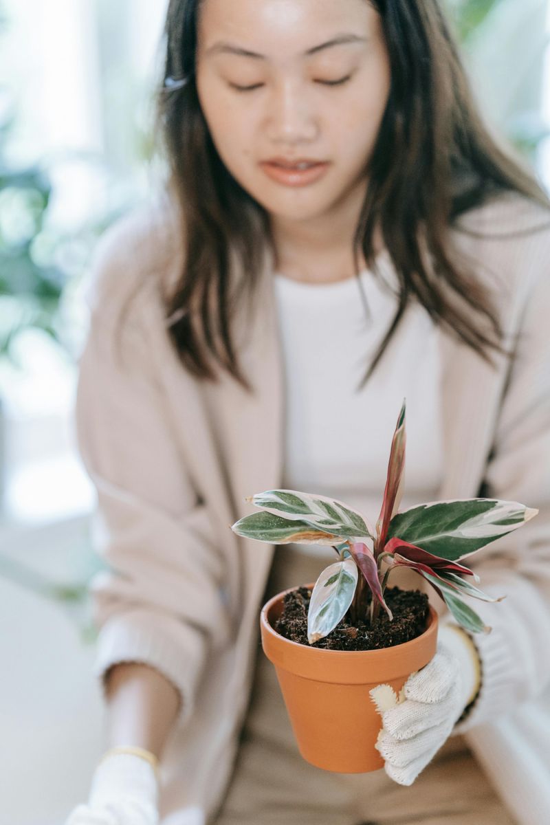 Keeping Plants Alive Is Actual Work