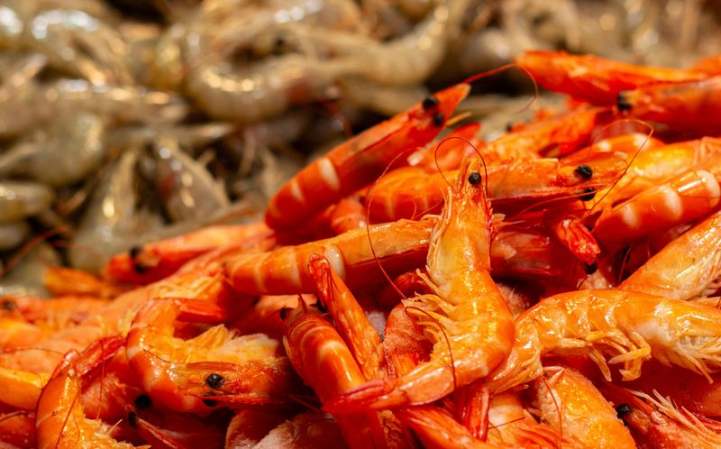 A Shrimp's Heart Is in Its Head