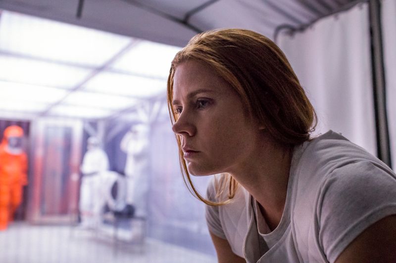 Amy Adams in Arrival