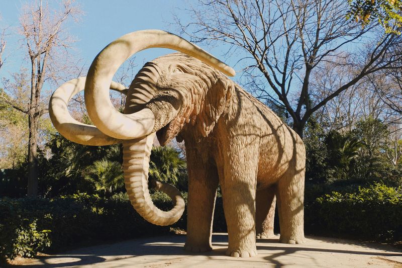 There were living mammoths when the pyramids were built