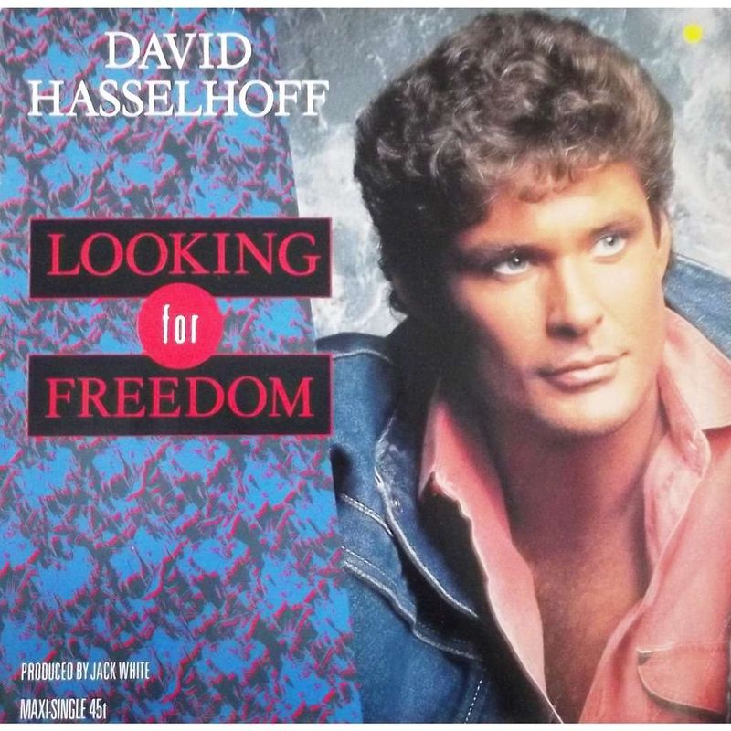 David Hasselhoff